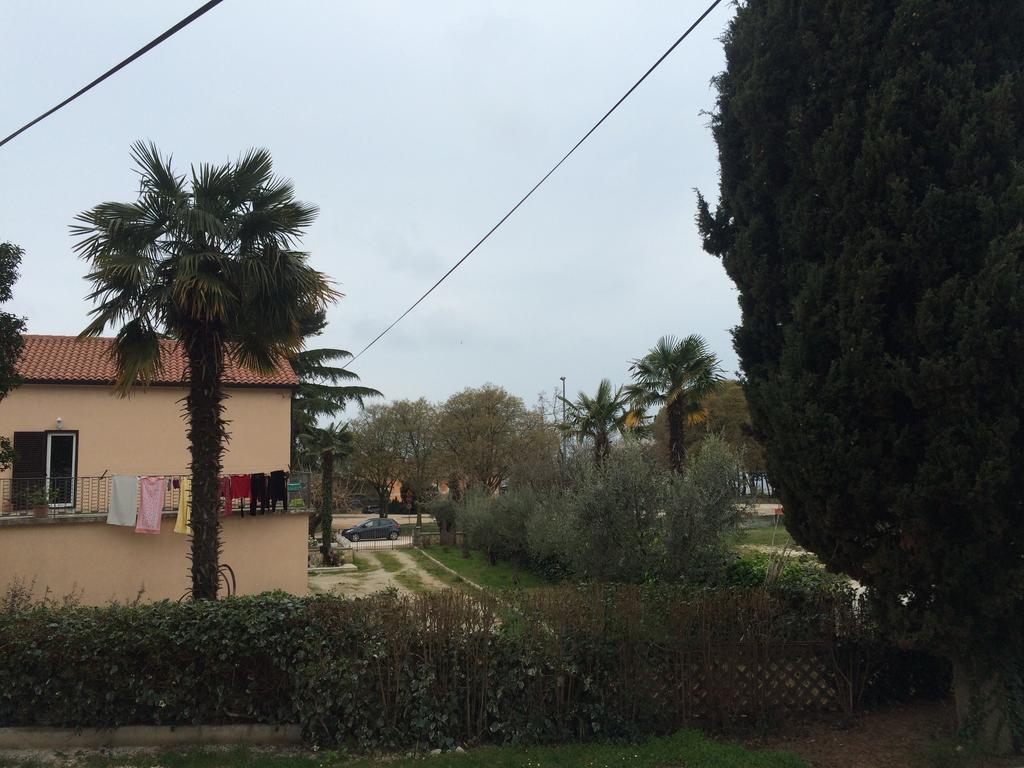 Apartment Parenzana Poreč Eksteriør bilde